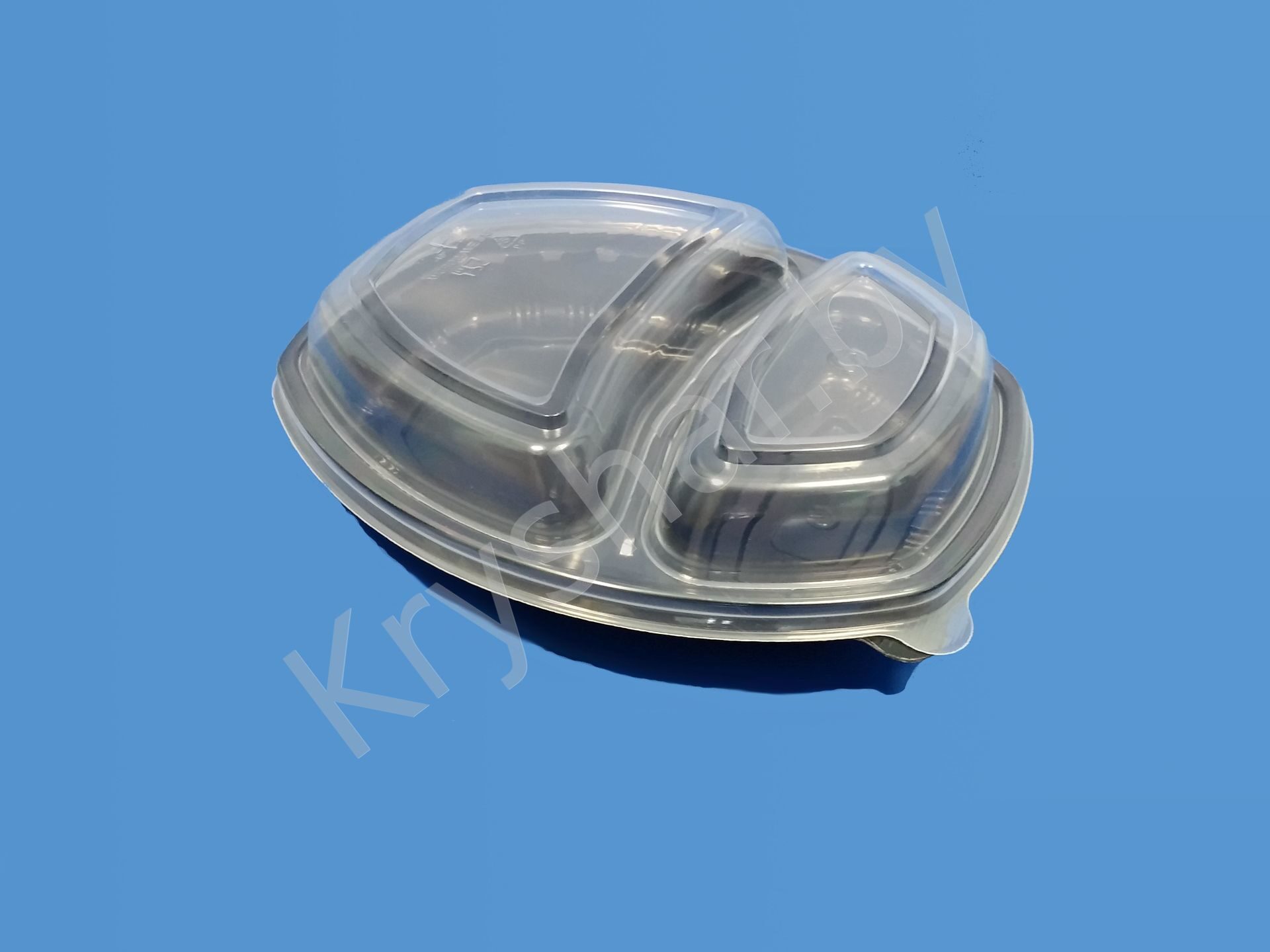 Контейнер ланч-бокс СпК-257-2 черный